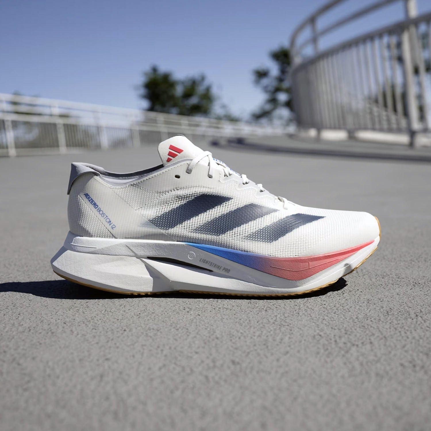 ADIDAS ADIZERO BOSTON 12