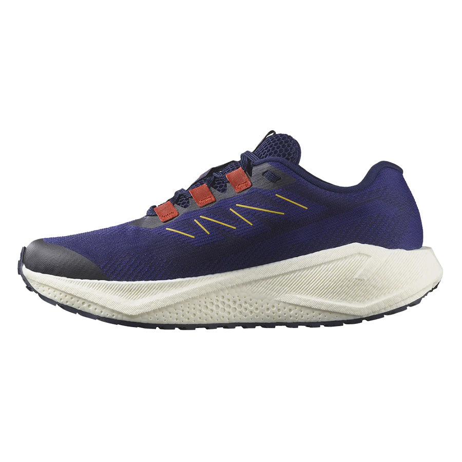 Salomon Aero Blaze 3 GRV