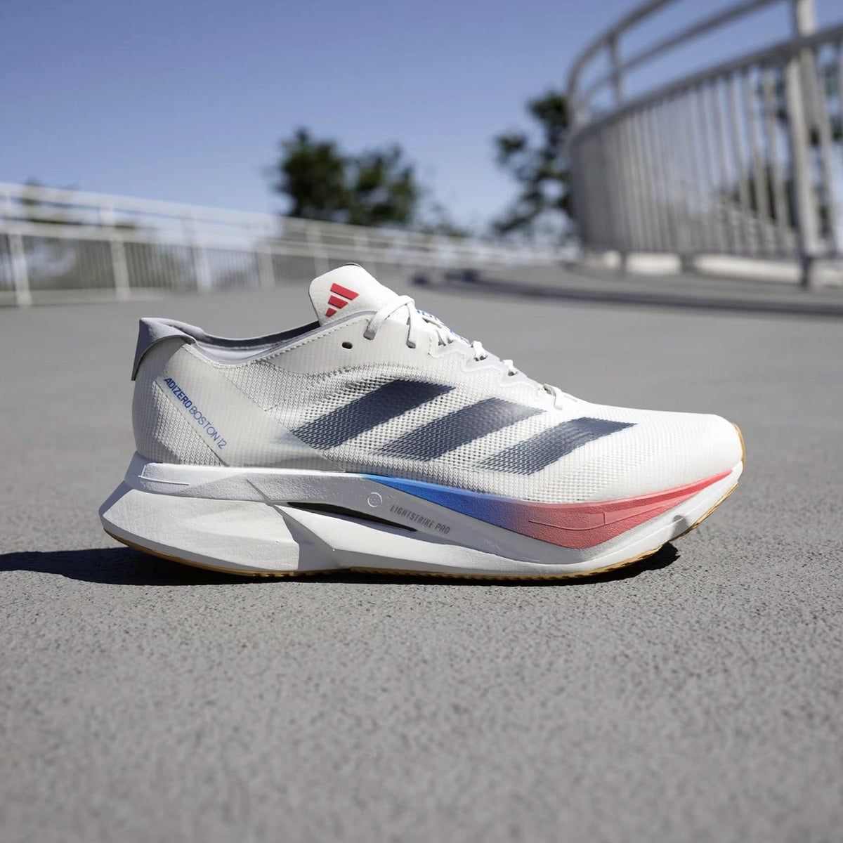 ADIDAS ADIZERO BOSTON 12